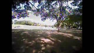 Lizard95 Freestyle