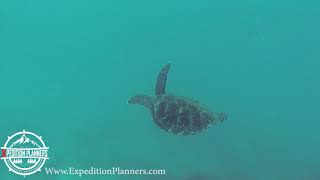 Travel to Iran - Scuba diving in Iran - Hormuz Island