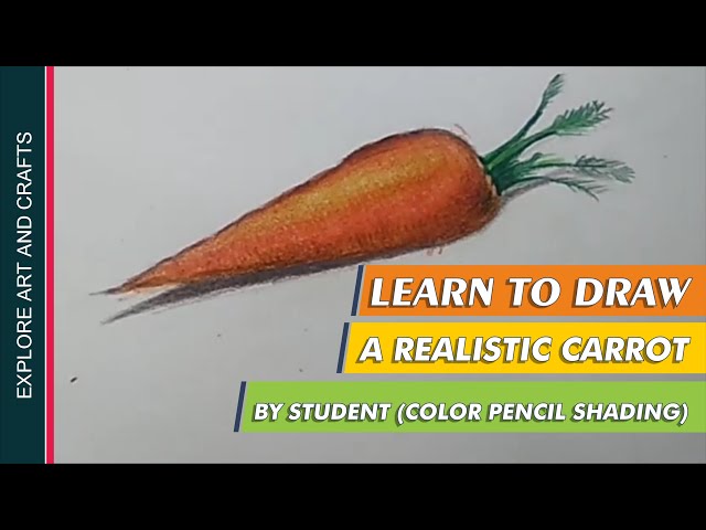 Premium Vector | Carrot vegetable hand drawn vector llustration realistic  sketch hand drawn sketch vegetable carrot eco food harvest