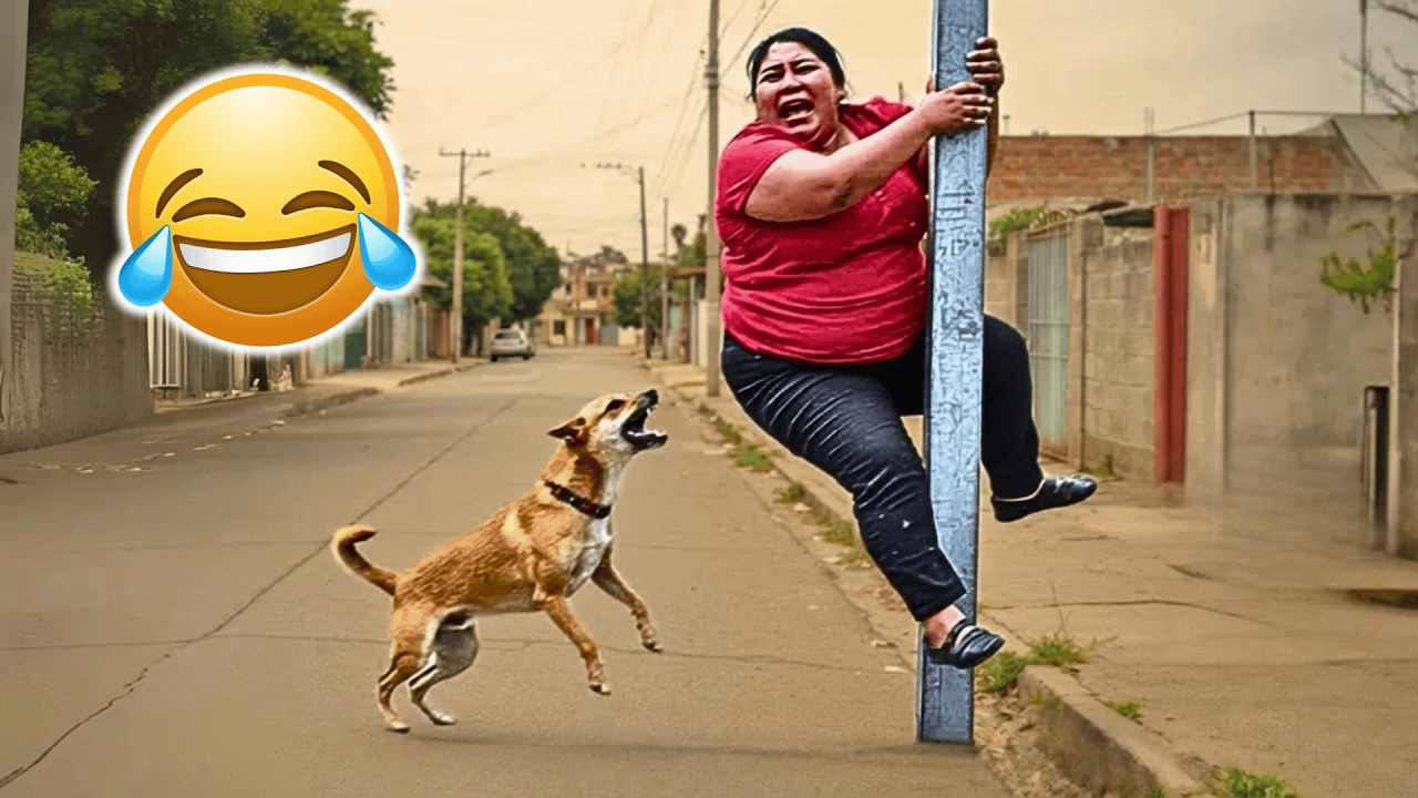 SE VOCÊ RIR, REINICIE O VÍDEO 😂🤣 VÍDEOS ENGRAÇADOS 2025!