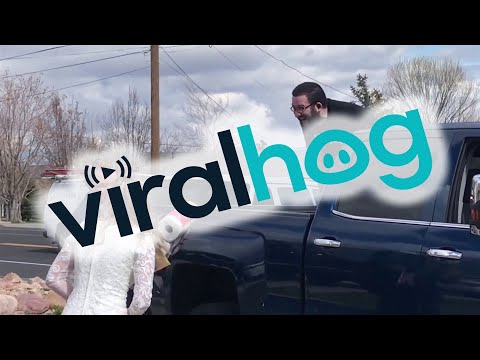 Drive by Wedding Reception Maintains Social Distancing || ViralHog