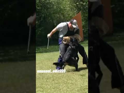 эдит(босерон ЗКС)спасибо за