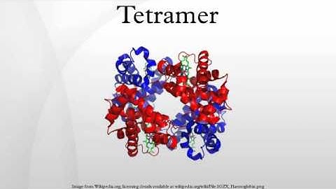 Tetramer