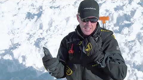 BC Link™ Radios: Never Alone