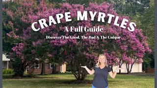 Crape Myrtles: All The Details, Characteristics & Charm Of These Gorgeous Trees | The Southern Daisy