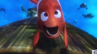 Finding Nemo righteous