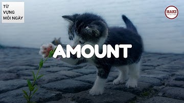 AMOUNT | Phát âm - Giải nghĩa - Ví dụ | Từ vựng tiếng Anh