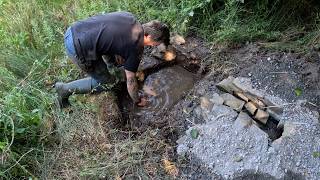 Life on the Farm | Sheep Shearing, Spring Water Repairs & Garden Update