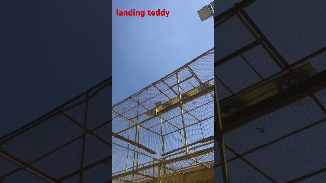Landing 