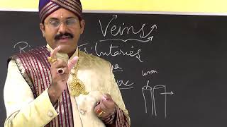 Arteries , Veins , Vasa Vasorum