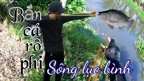 Bắn cá rô phi bằng ná cao su - trên con sông nhỏ đầy lục bình.