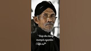 Urip iku mung mampir ngombe