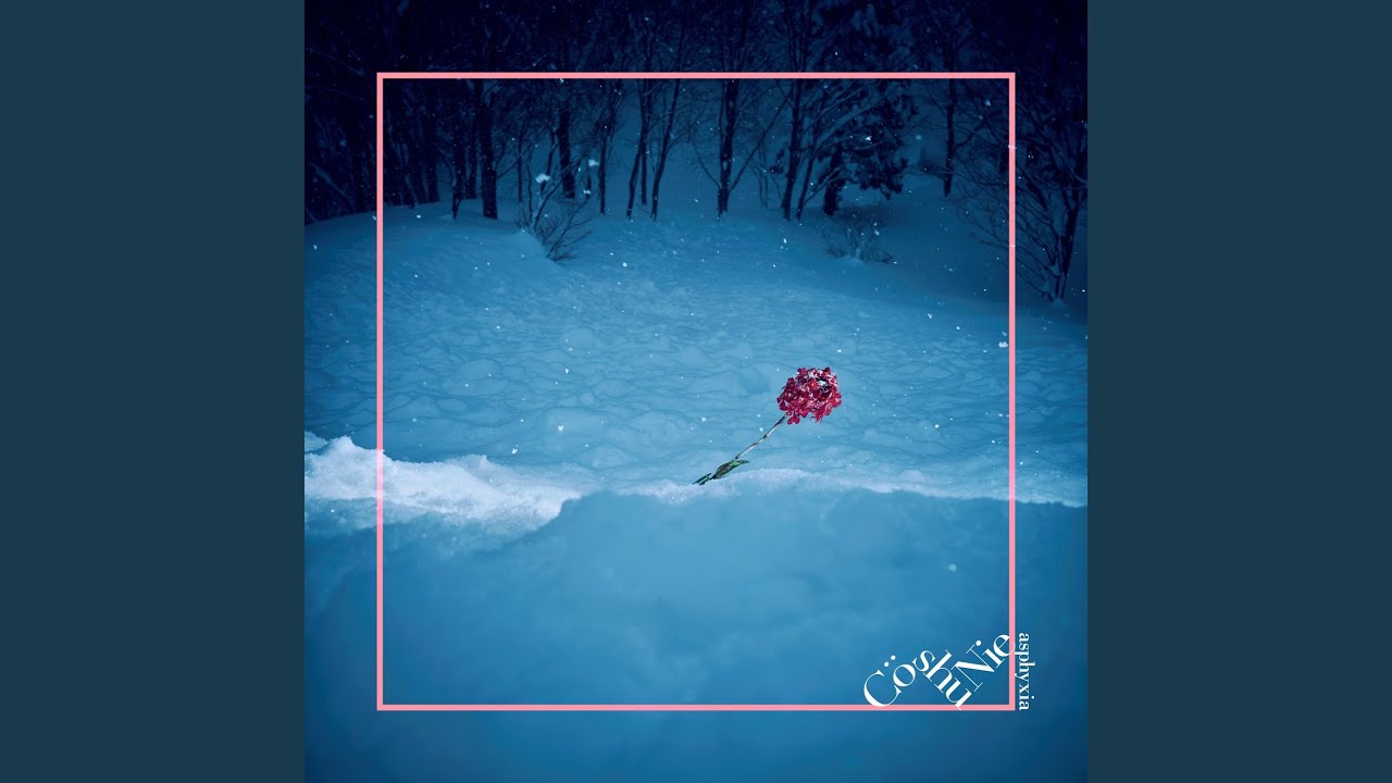 Cö shu Nie – 迷路 ～本編～ (Official Video) / 2nd Album