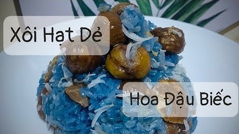 Cách Nấu Xôi Thơm Ngon Bùi Béo || Xôi Hạt Dẻ Hoa Đậu Biếc || Bếp Nhà Uyên