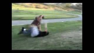 Alta Fight
