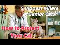 5 Biggest Killers of Senior Cats: Common Causes, Warning Signs & How to Protect Your Feline