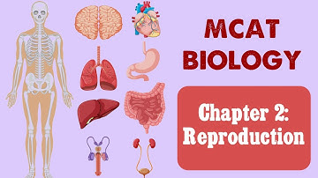 MCAT Biology: Chapter 2 - Reproduction (1/1)