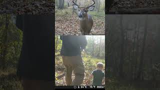 Does Tinks Doe Urine Work? Doe-In-Rut