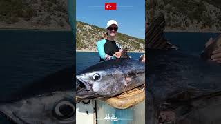 Вот таких красавцев мы ловим у берегов Эгейского моря в Турции