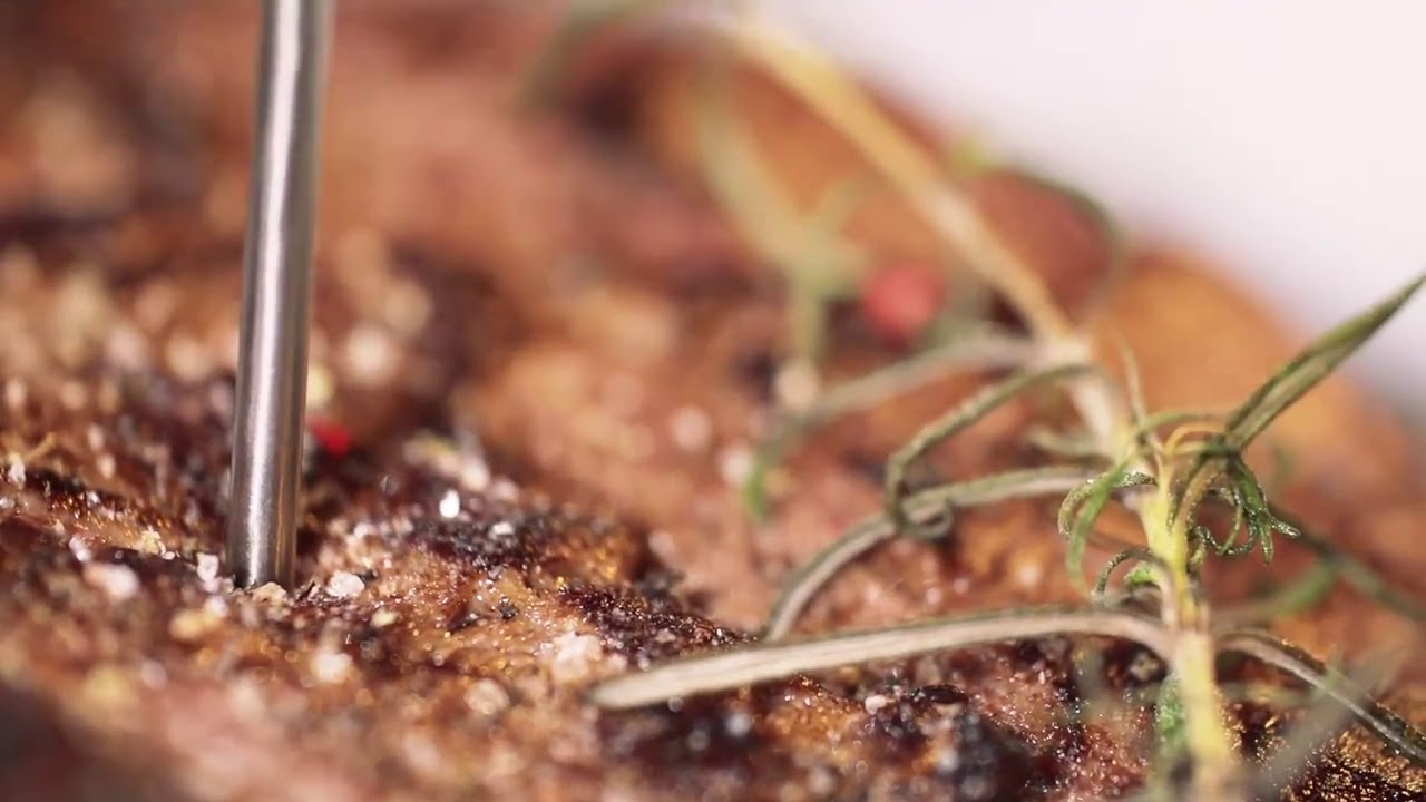 634490 Цифровой термометр для духовки ACCURA, с таймером