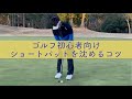 ショートパットを沈めるコツ 初心者専門ゴルフレッスン動画 寺嶋慶介