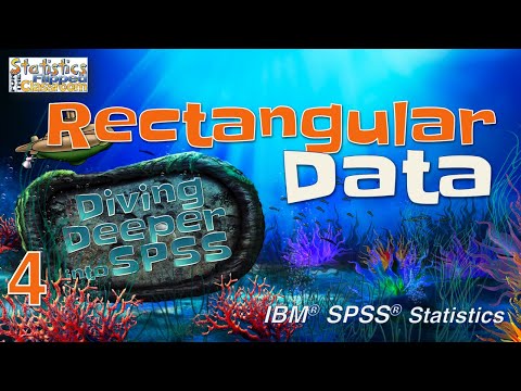 How to Structure Data for Import into SPSS - Rectangular Data (Ep.4)