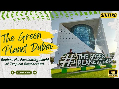 The Green Planet Dubai: Explore the Fascinating World of Tropical Rainforests!