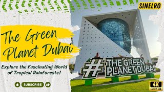 The Green Planet Dubai: Explore the Fascinating World of Tropical Rainforests!