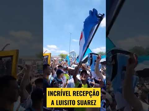 VEJA RECEPÇÃO A