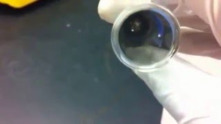 Tollens' Reagent Mixed With Benzaldehyde Net Worth