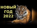 НОВЫЙ ГОД 2022: Как Встречать Новый Год 2022 \ Как правильно загадать желание в Новогоднюю Ночь