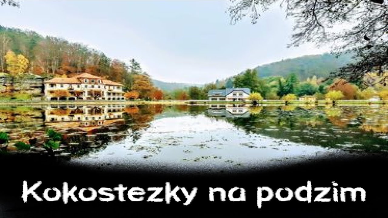 Kokostezky na podzim 2020