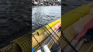 crawfish fishing, Imatra Finland