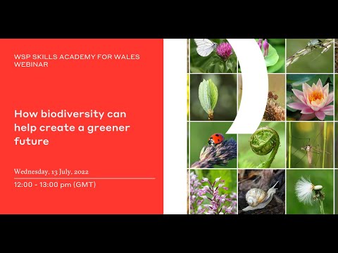 WSP Skills Academy for Wales - How biodiversity can help create a greener future
