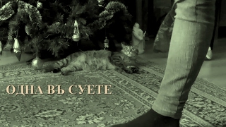 Одна въ суете (документальныйъ арт-хаусъ) Одна въ суете (документальныйъ арт-хаусъ)
