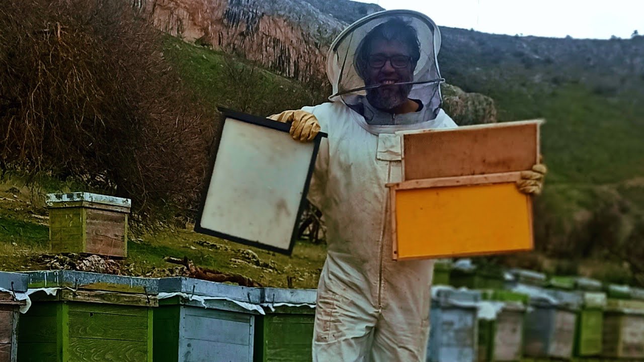 ما دا نعرف عن اطارات شمع البلاستيكيه   في تربية النحل  و طرق استعمالها