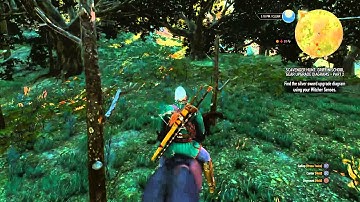 The Witcher 3 Mystery of the non animated horse