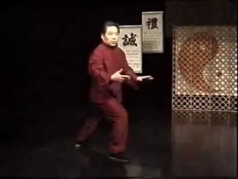 85 forms Fu Shengyuan Authentic Yang TaiChi