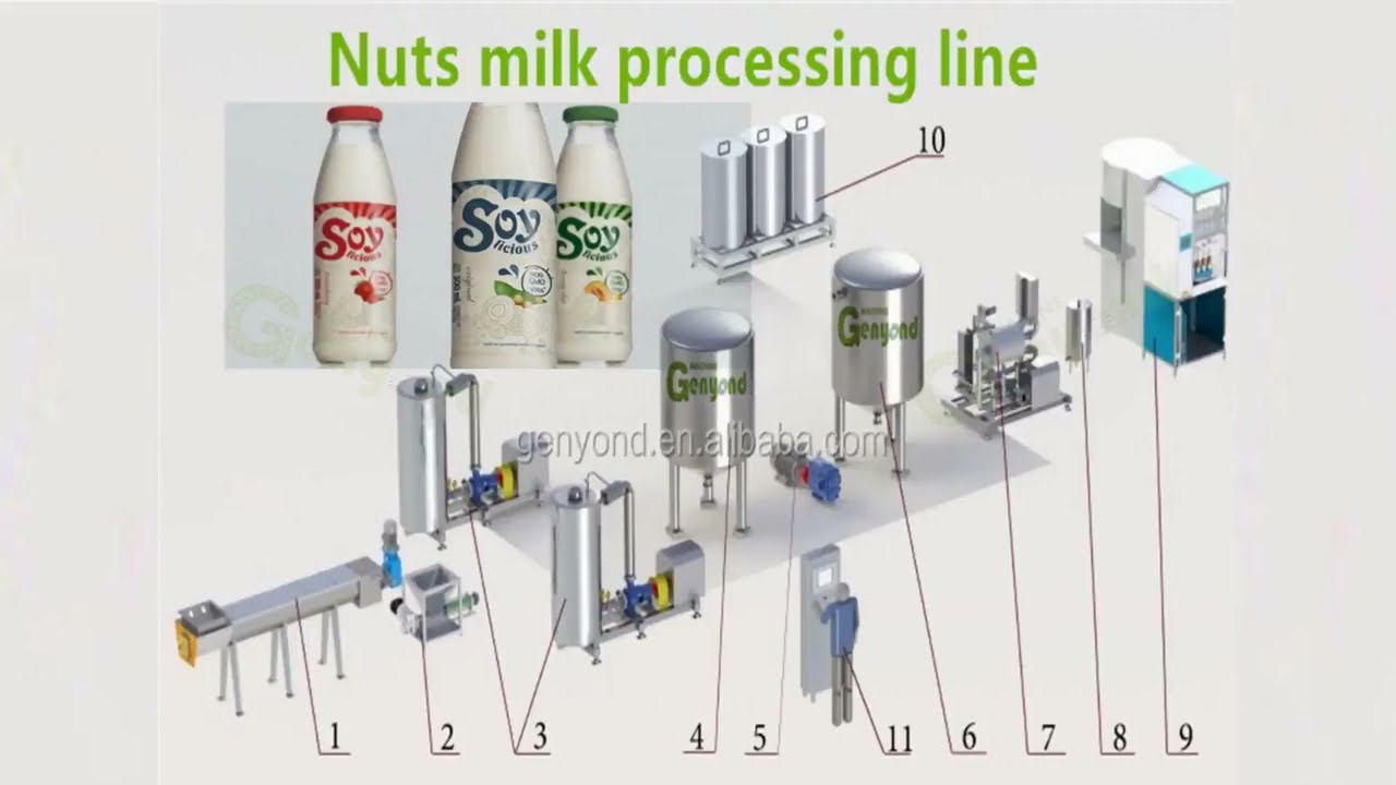 How to make nuts milk plant Protein Beverage from bean and nut? automatic soy milk production line