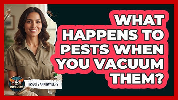 What Happens To Pests When You Vacuum Them? - Insects and Invaders
