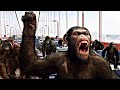 Genetically Enhanced Apes Fight For There Freedom Against Humans | Movie Recap | movies
