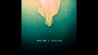 Miniatura del video "Wye Oak - Dogs eyes"