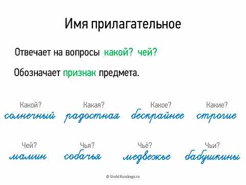 Имя прилагательное (5 класс, видеоурок-презентация)