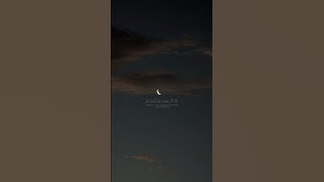 استمع للقرآن تلاوة ياسر الدوسري #مصحف
