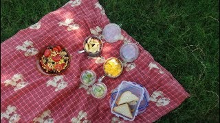 أفكار لتجهيزات نزهة (picnic)