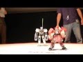 2013 RoboSmart go to Japan to participate in 23th ROBO-ONE record!HD