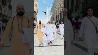 Hazrat Maulana Yahya sb going for umrah #islamicvideo #islamicshorts #umrah