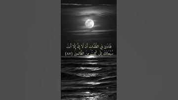 تلاوة من سورة الانبياء 💮                  #quran #القرآن_الكريم #اكسبلور #viral