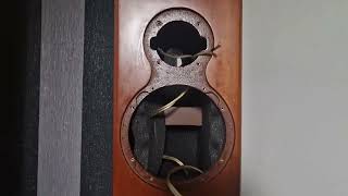 Decent speqkers for not much money Monitor  audio gold signature g20