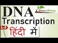 DNA transcription in Hindi